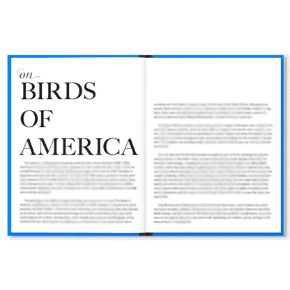 Birds
