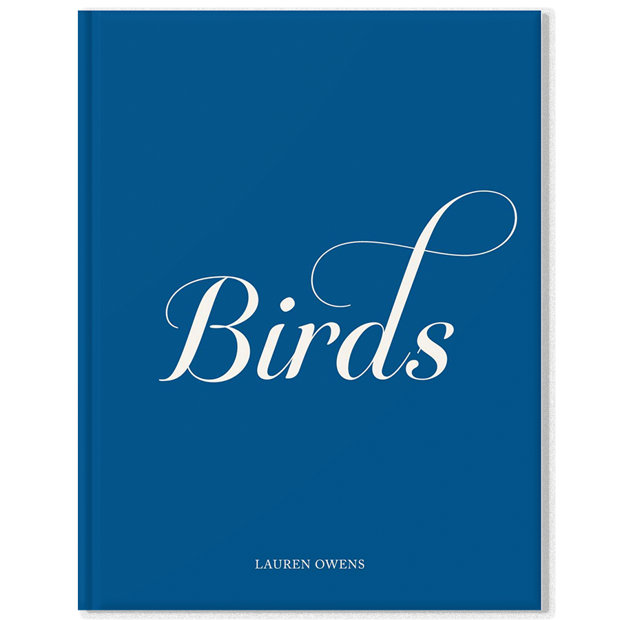 COMING SOON | Birds