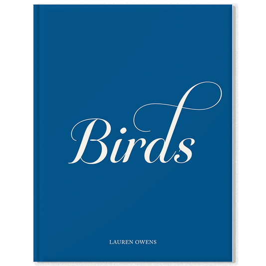 COMING SOON | Birds