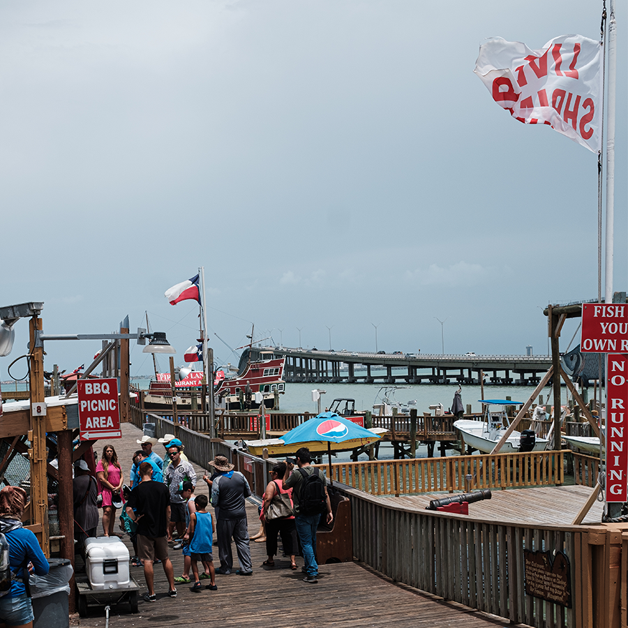 Shorelines: Texas Gulf Coast & Coastal Bend